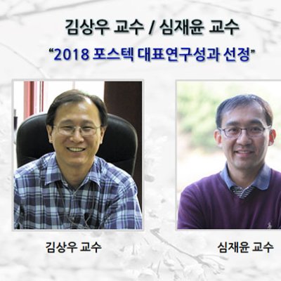 김상우 교수, 심재윤 교수 “2018 포스텍 대표연구성과 선정”