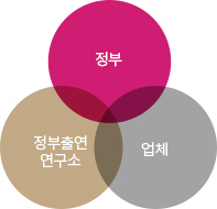 정부 + 정부출연연구소 + 업체