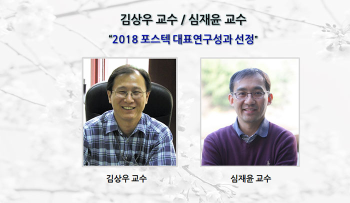 김상우 교수, 심재윤 교수 “2018 포스텍 대표연구성과 선정”